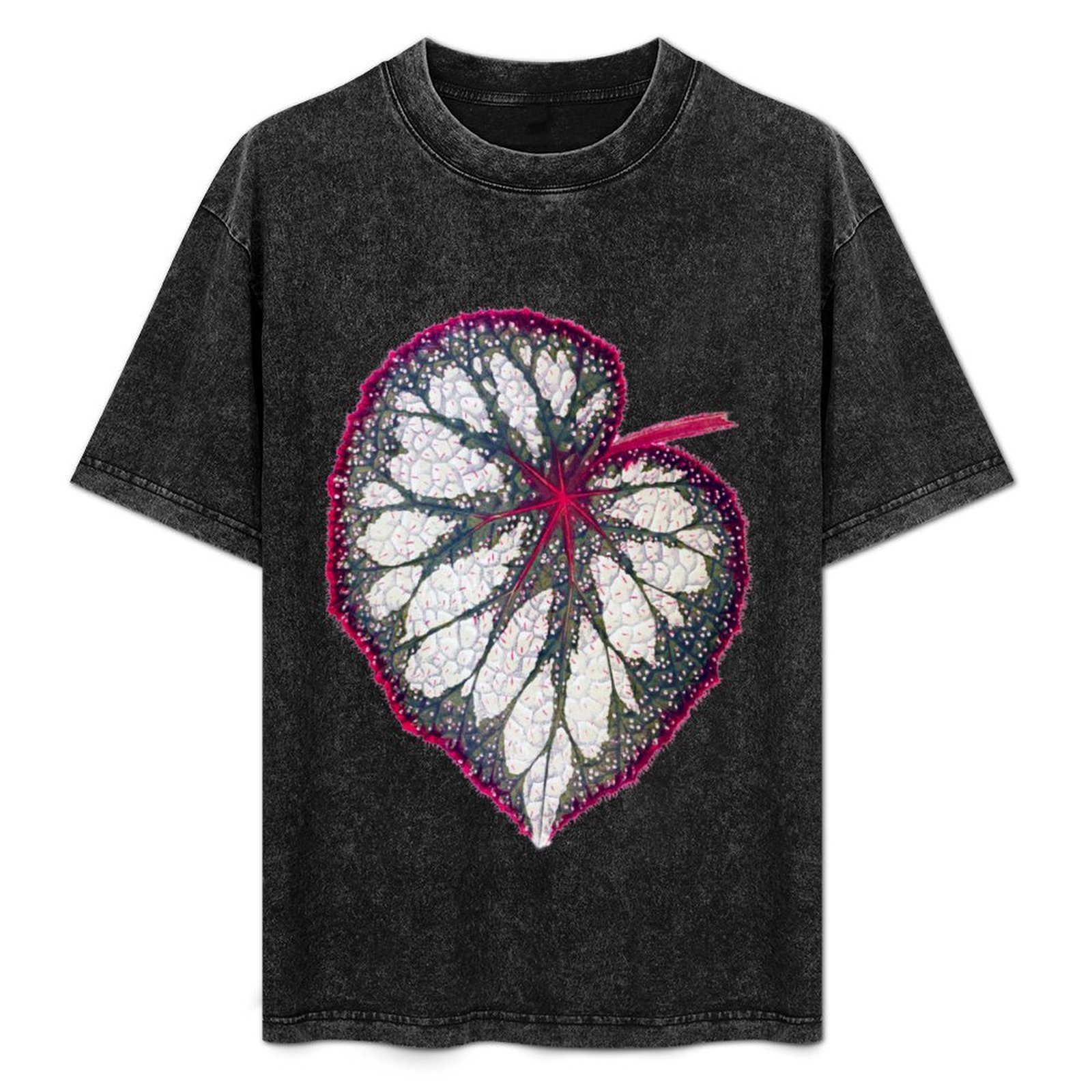 Begonia Rex - Begonia rex T-Shirt All Weather Casual