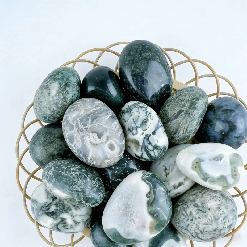 Natural Moss Agate Crushed Sto - Echeveria Succulent avis et prix