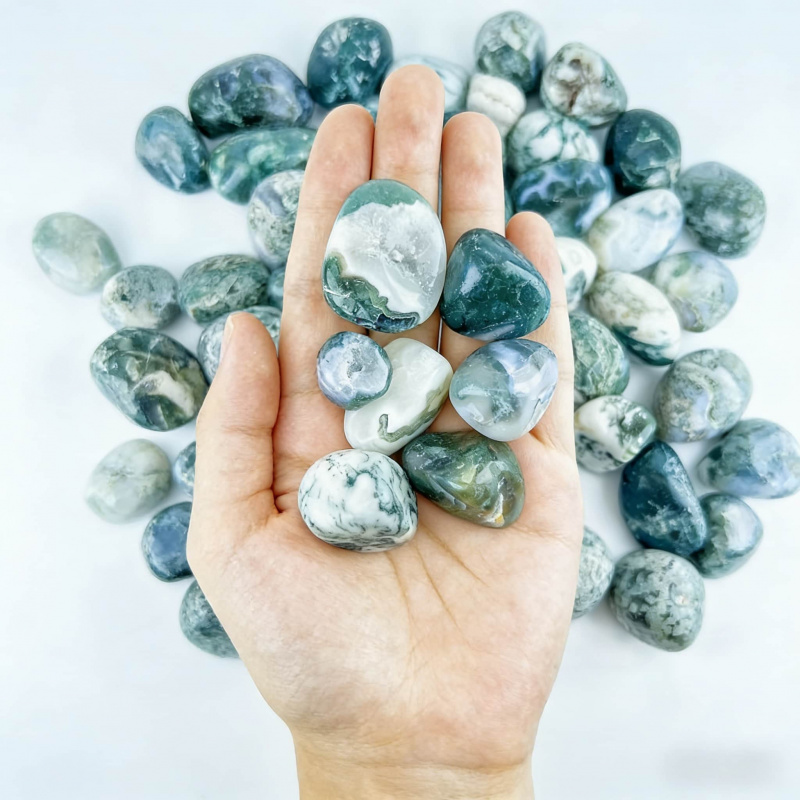 Natural Moss Agate Crushed Sto - Echeveria Succulent avis et prix