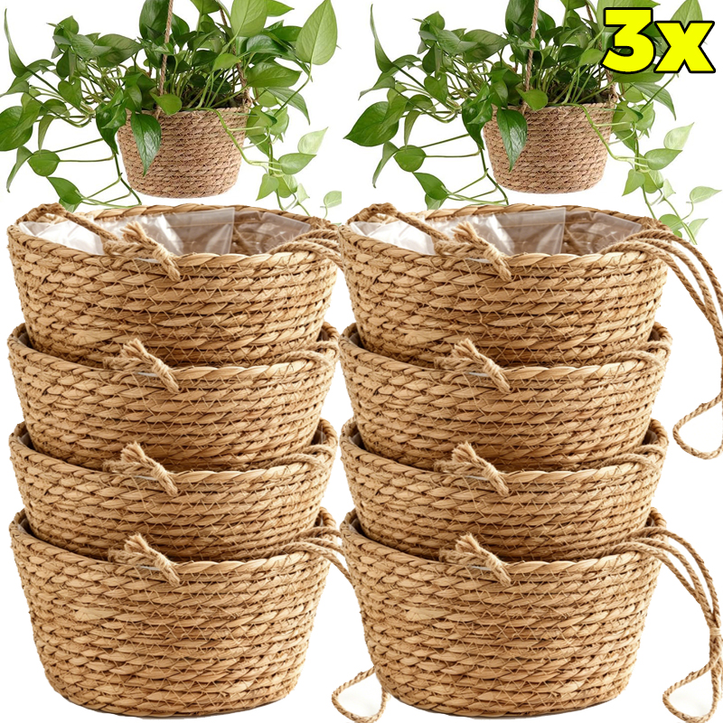 1/3x Rope Hanging Planter Bask - Spider Plant Hanging avis et prix