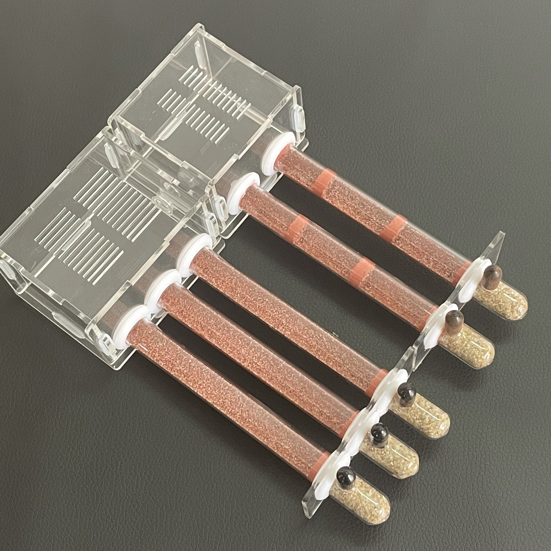 15-150mm Gypsum Test Tube Nest - Begonia Rex avis et prix