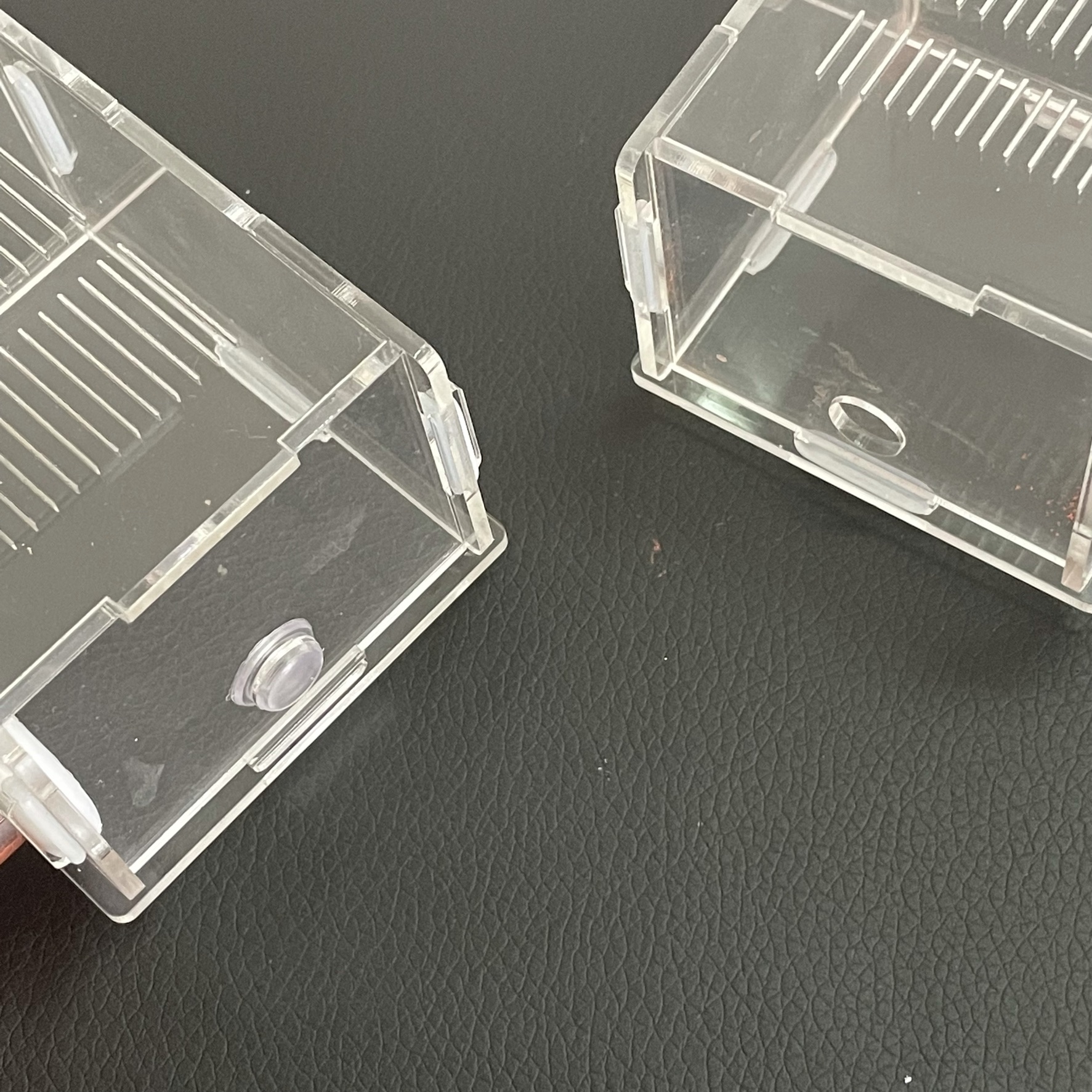 15-150mm Gypsum Test Tube Nest - Begonia Rex avis et prix