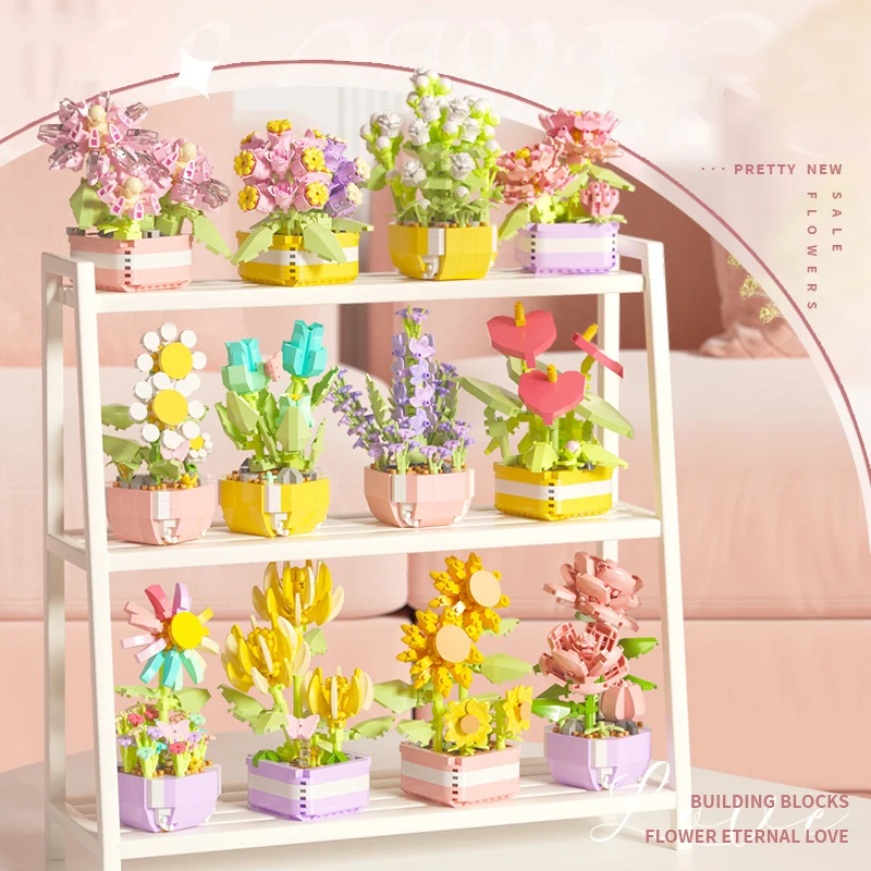 Flower Succulents Building Blo - Echeveria Succulent avis et prix