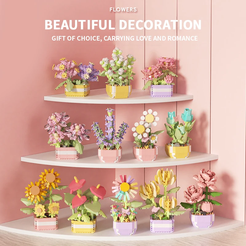 Flower Succulents Building Blo - Echeveria Succulent avis et prix
