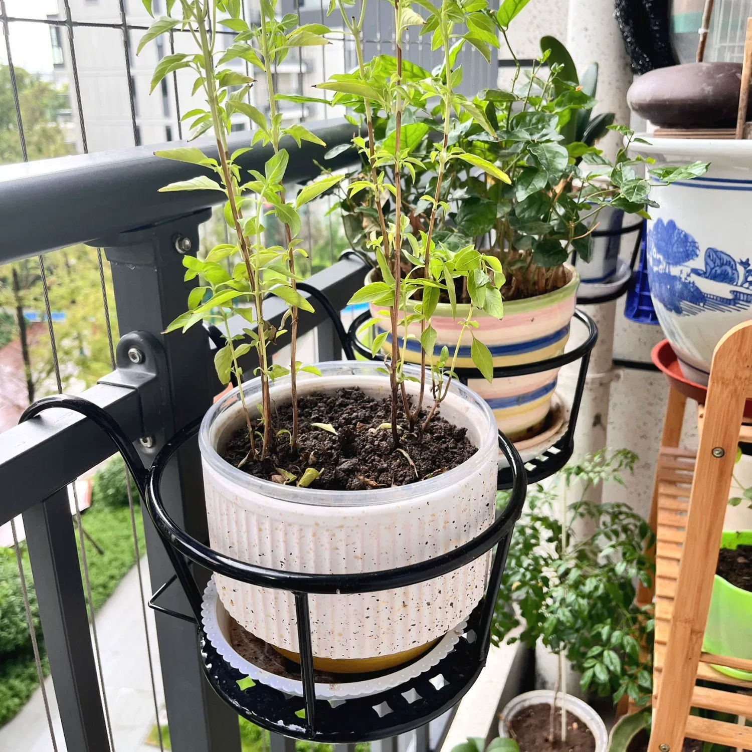 Wrought Iron Balcony Hanging F - Spider Plant Hanging avis et prix