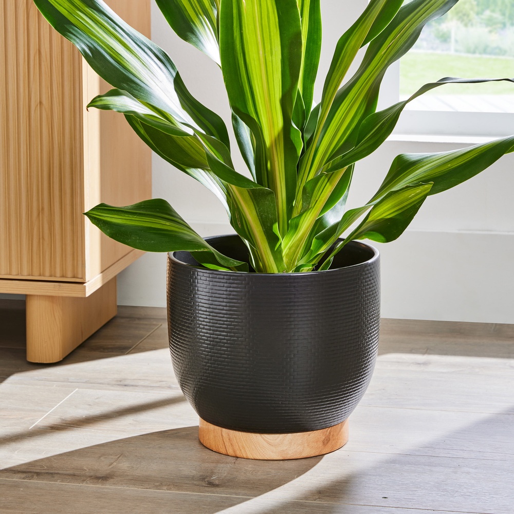 10 Inch Woven Black Ceramic Pl - Aloe Vera Pot avis et prix