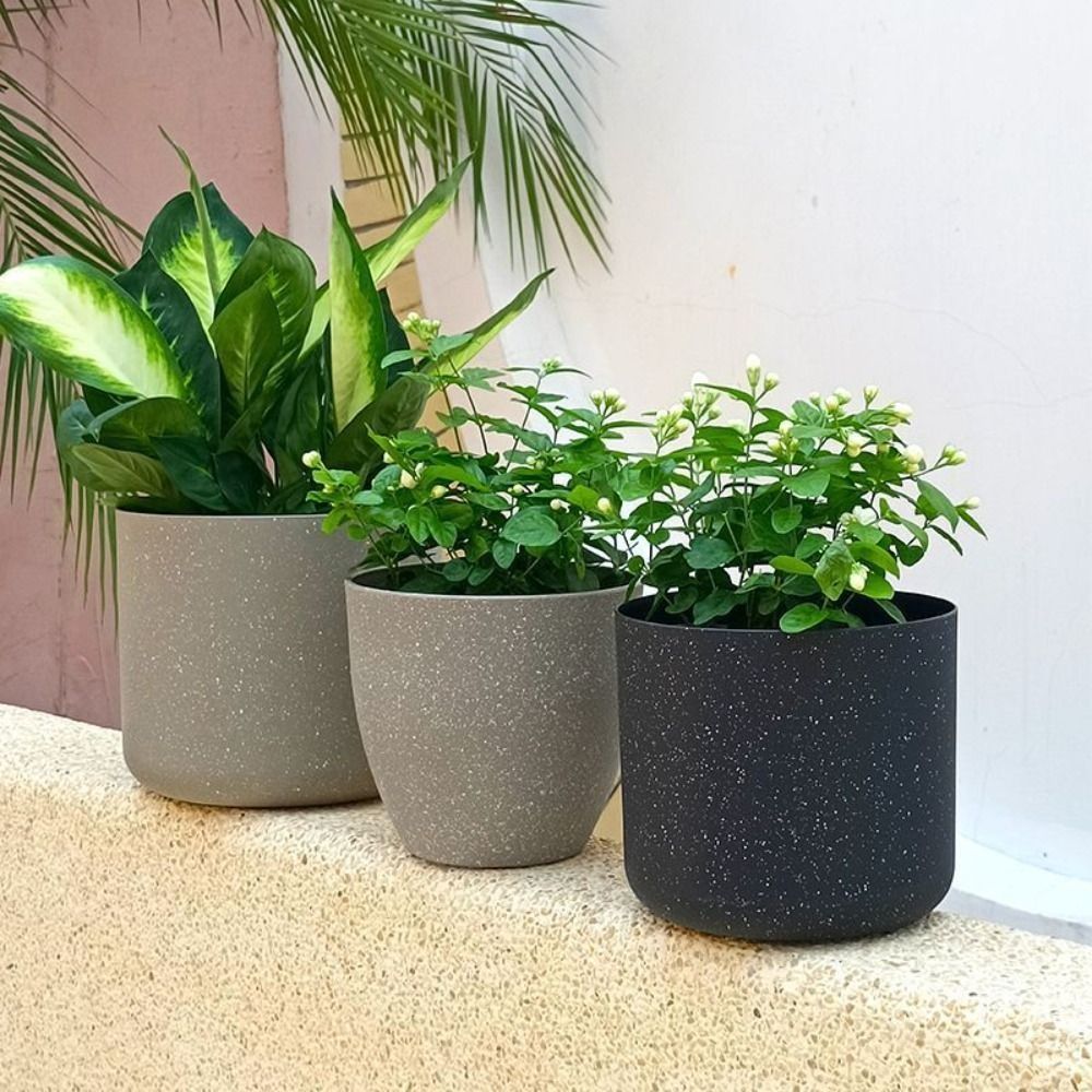 Frosted Imitation Stone Flower - Aloe Vera Pot avis et prix