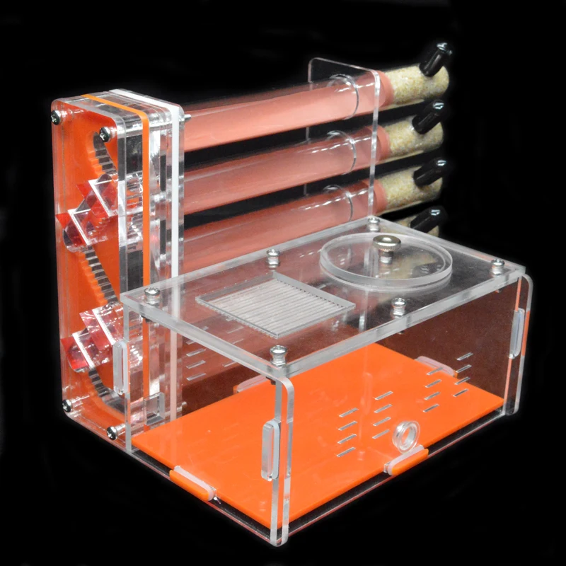 DIY Acrylic Ant Farm 5 pcs 18- - Begonia Rex avis et prix