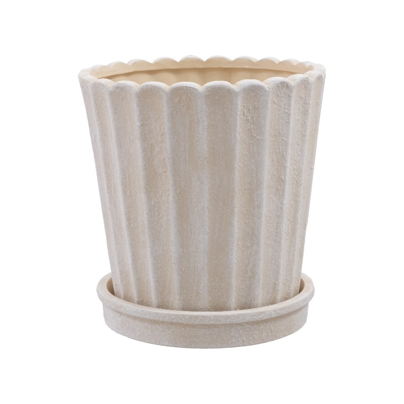8 Inch Shell Planter Cream Cer - Aloe Vera Pot avis et prix