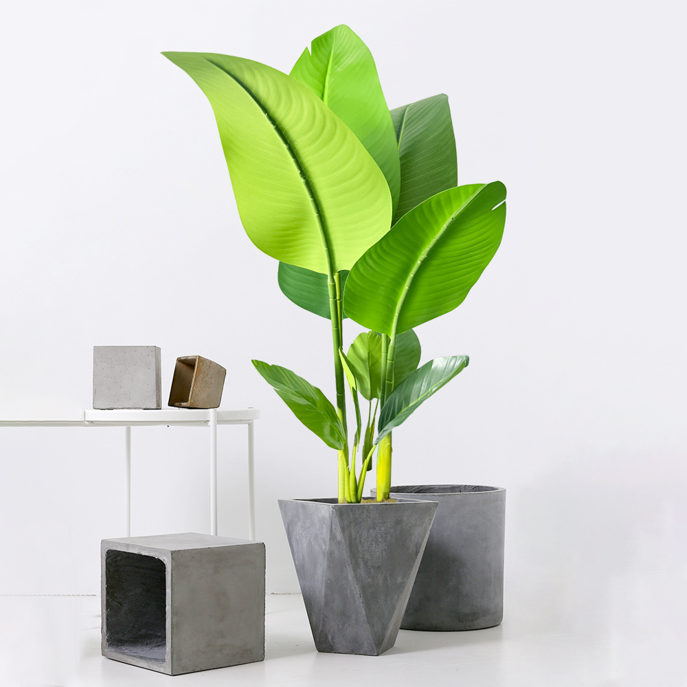 37-77cm Artificial Banana Tree - Dracaena Marginata avis et prix