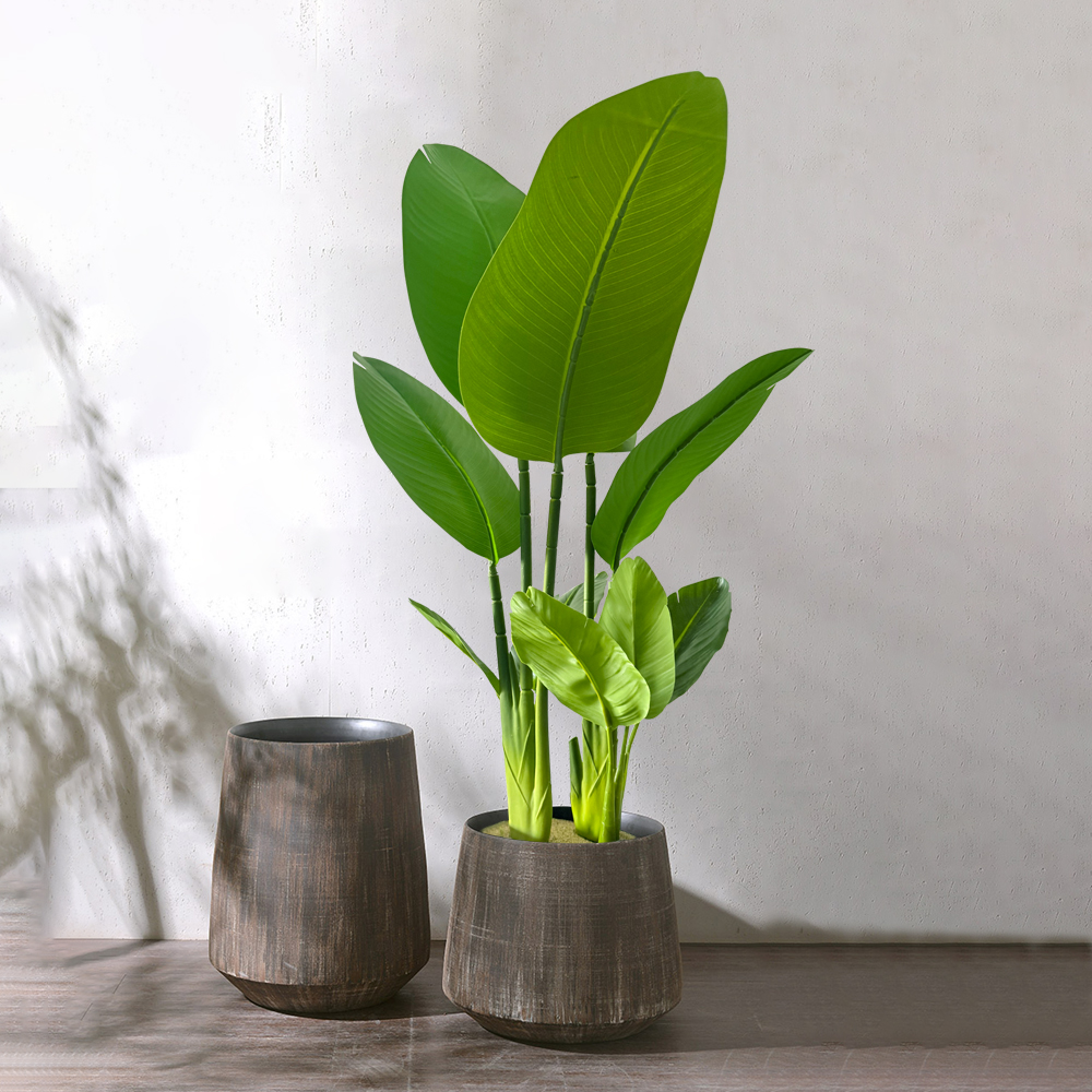 37-77cm Artificial Banana Tree - Dracaena Marginata avis et prix