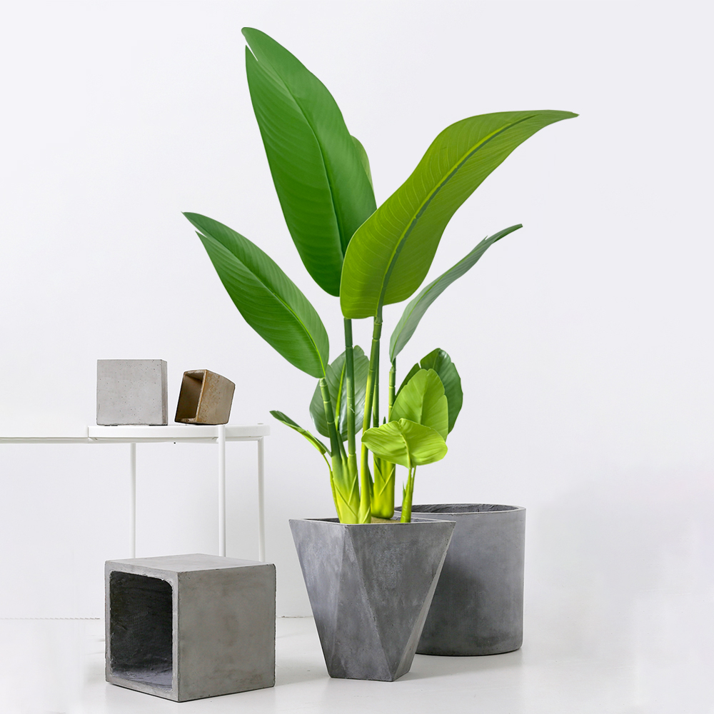 37-77cm Artificial Banana Tree - Dracaena Marginata avis et prix