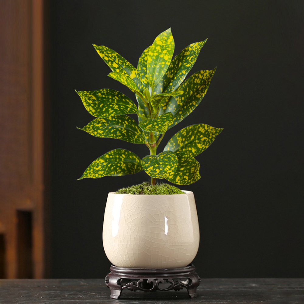 24-41cm Artificial Ficus Tree  - Ficus Lyrata Tree avis et prix