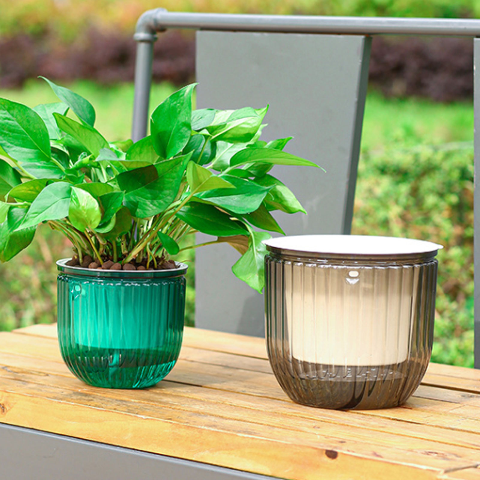 Automatic Self Watering Plant  - Spider Plant Hanging avis et prix