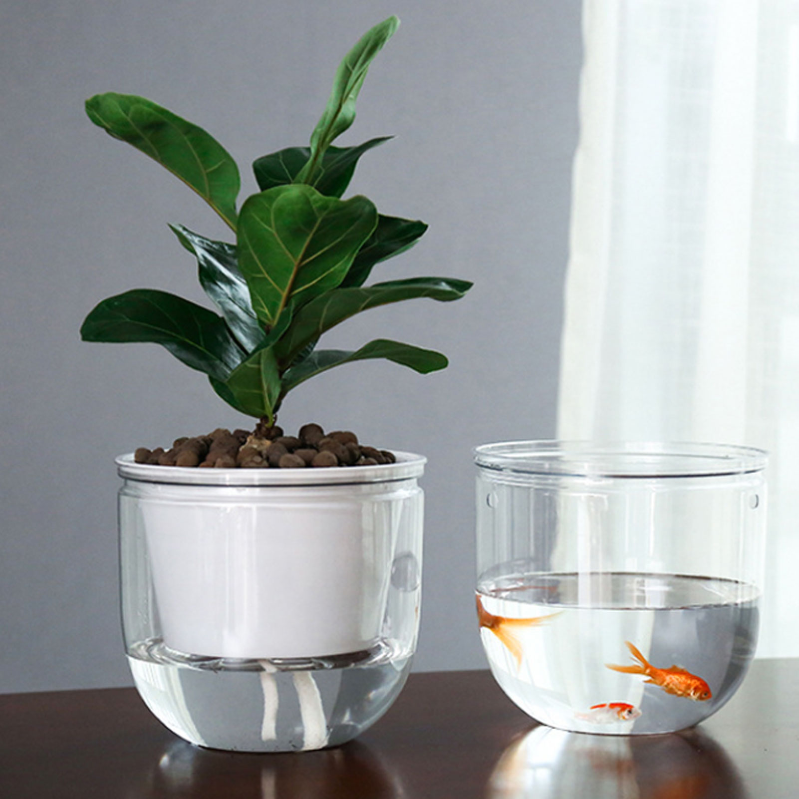 Automatic Self Watering Plant  - Spider Plant Hanging avis et prix