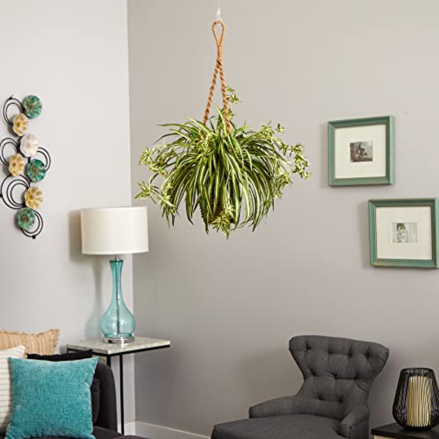 Spider Plant Hanging Basket - Spider Plant Hanging avis et prix