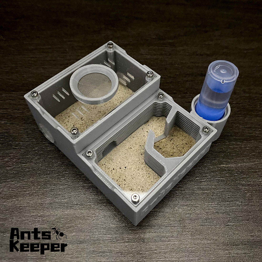 【One Section】Flat Ant Farm for - Begonia Rex avis et prix
