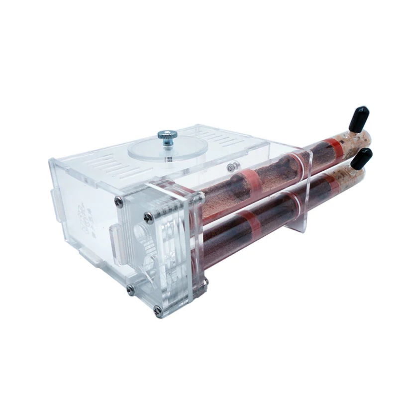 DIY Ant Farm 2 pcs 18-180mm Gy - Begonia Rex avis et prix