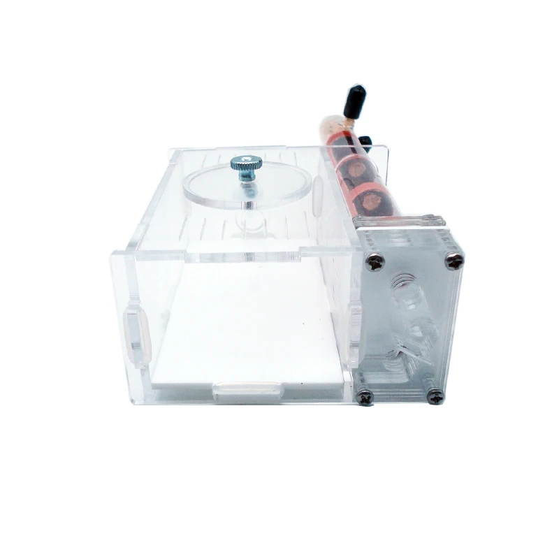DIY Ant Farm 2 pcs 18-180mm Gy - Begonia Rex avis et prix