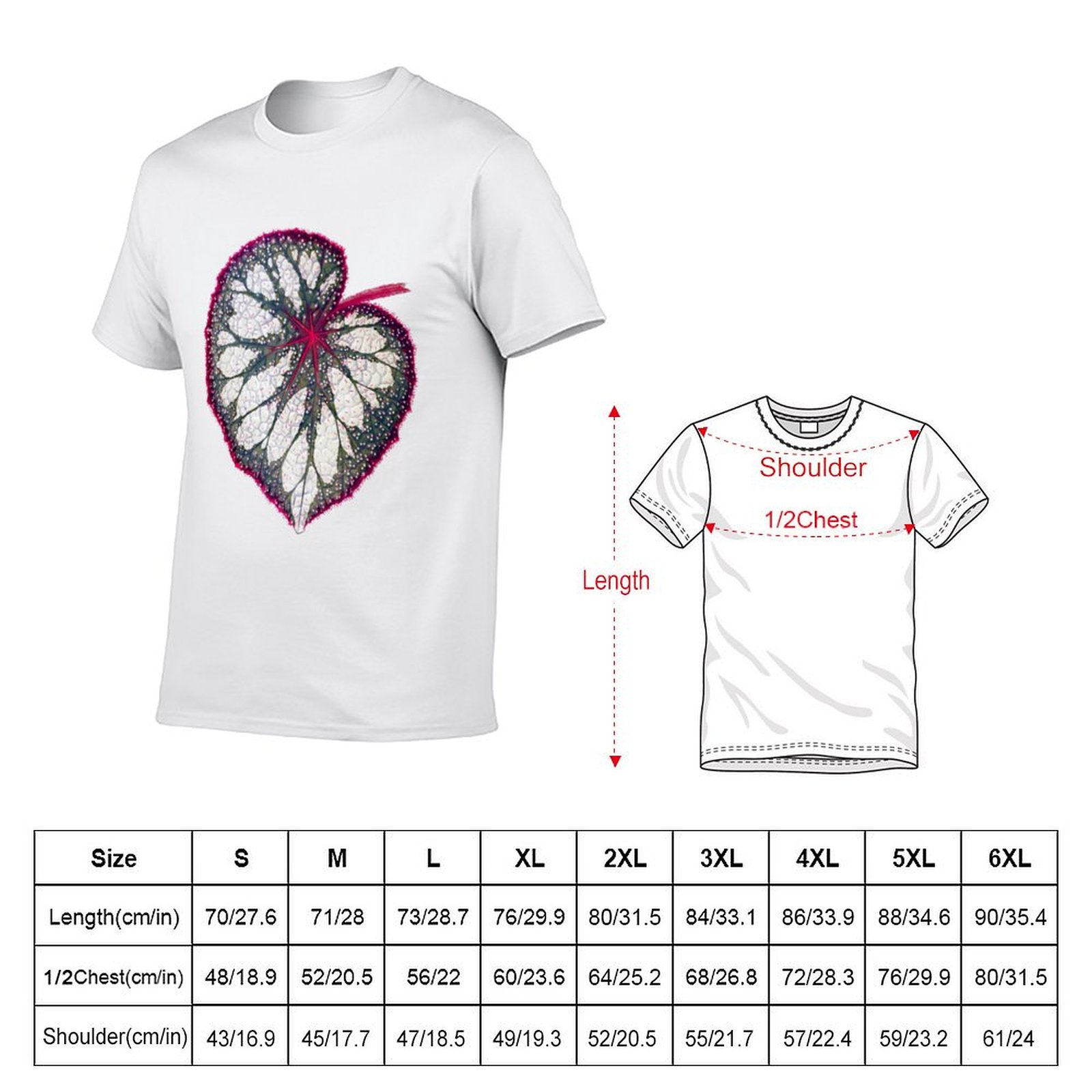 Begonia rex T-Shirt man graphi - Begonia Rex avis et prix