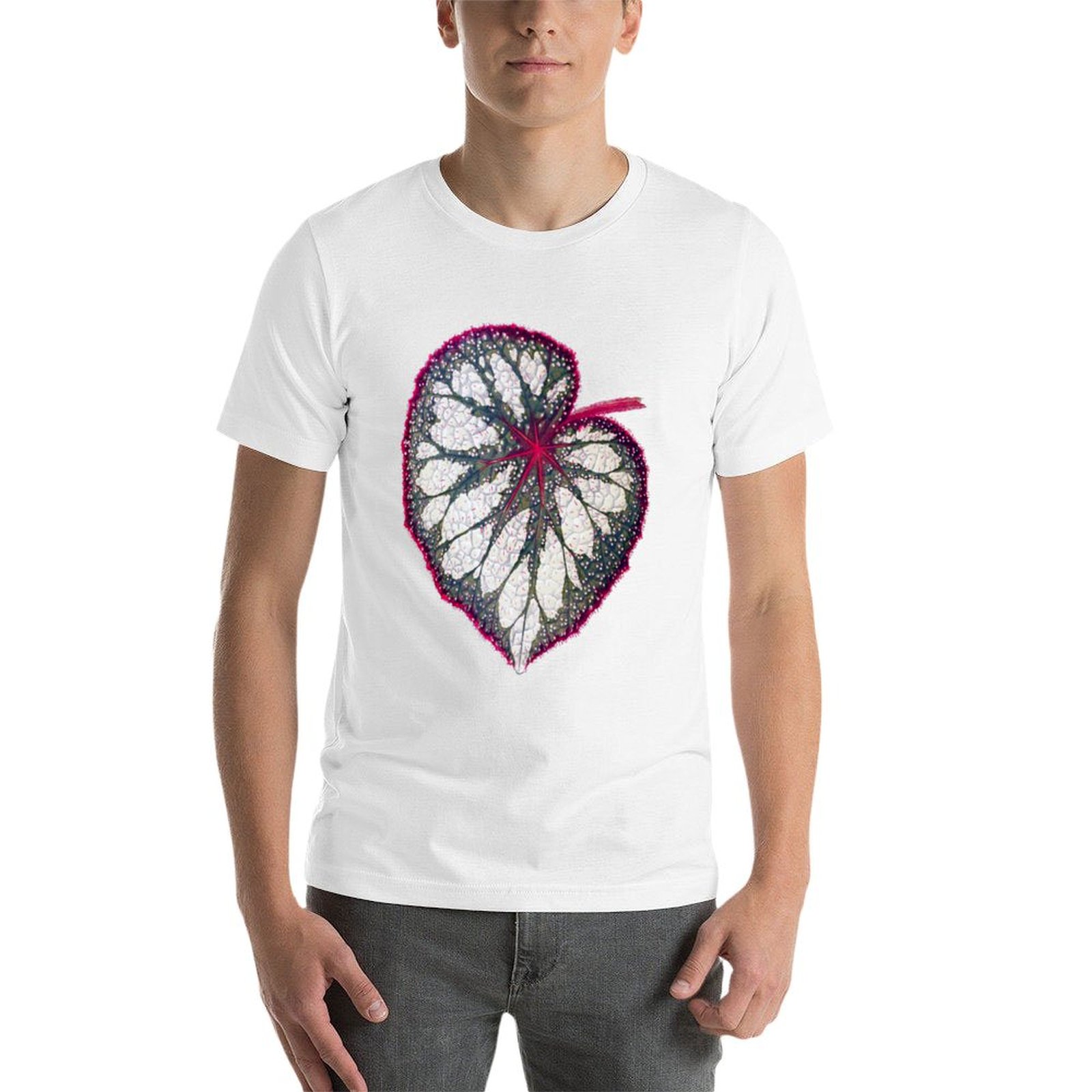Begonia rex T-Shirt man graphi - Begonia Rex avis et prix