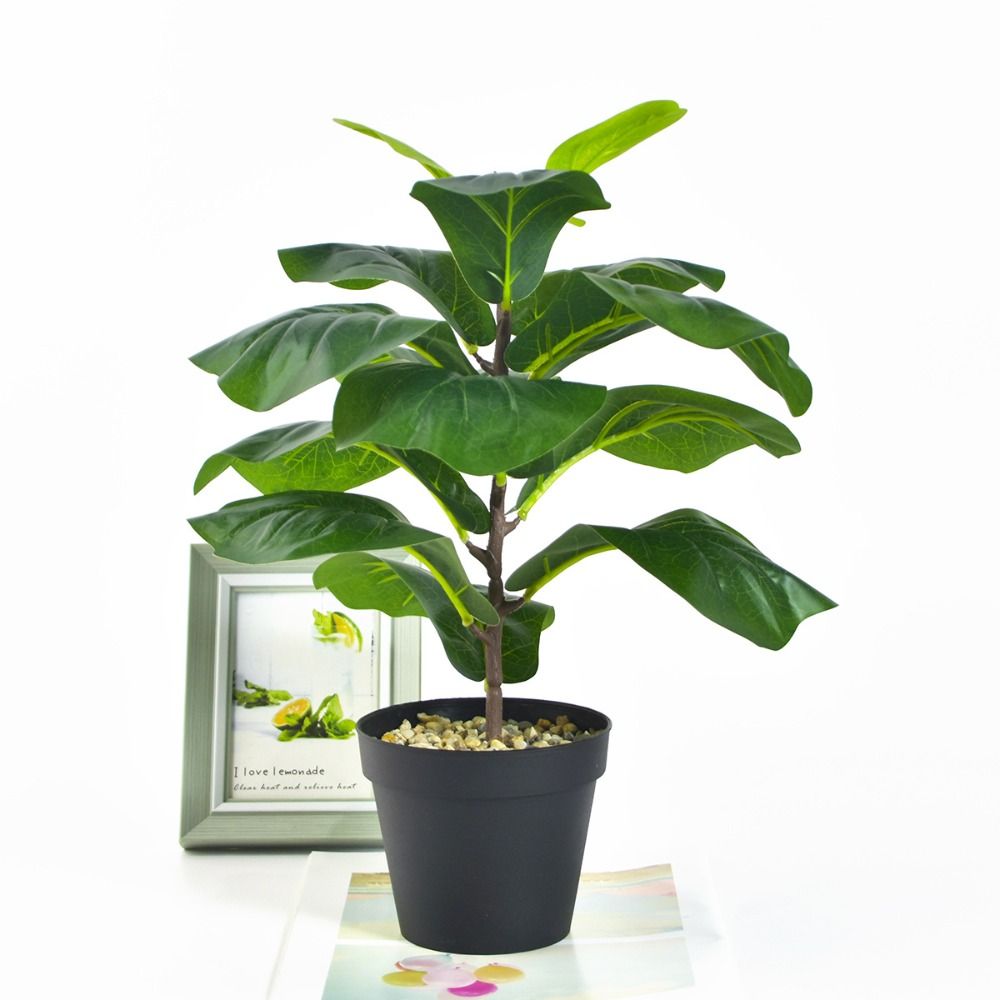 Large Artificial Fiddle Leaves - Ficus Lyrata Tree avis et prix