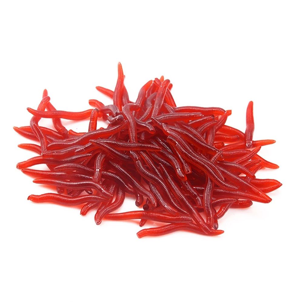 100pcs/Bottle Realistic Tackle - Aglaonema Red avis et prix