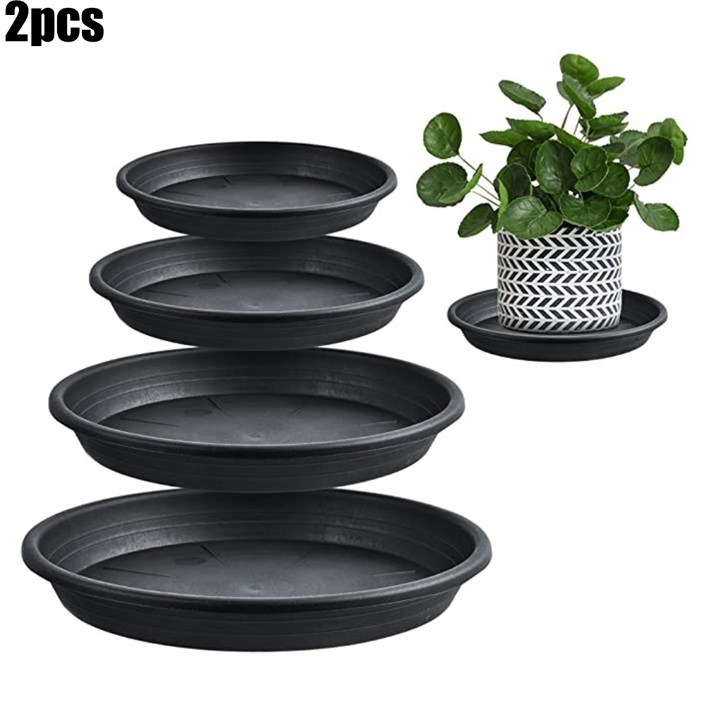 2pcs Plant Trays Round Succule - Echeveria Succulent avis et prix