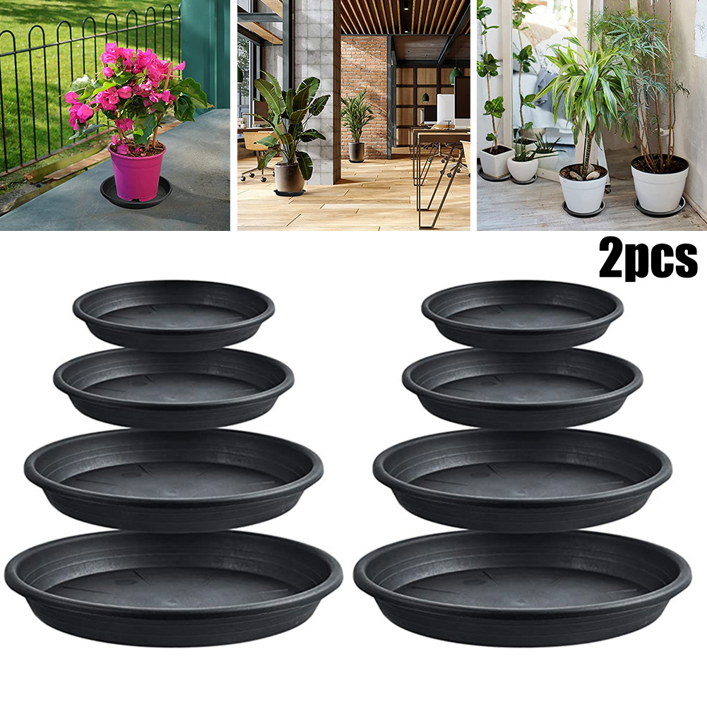 2pcs Plant Trays Round Succule - Echeveria Succulent avis et prix