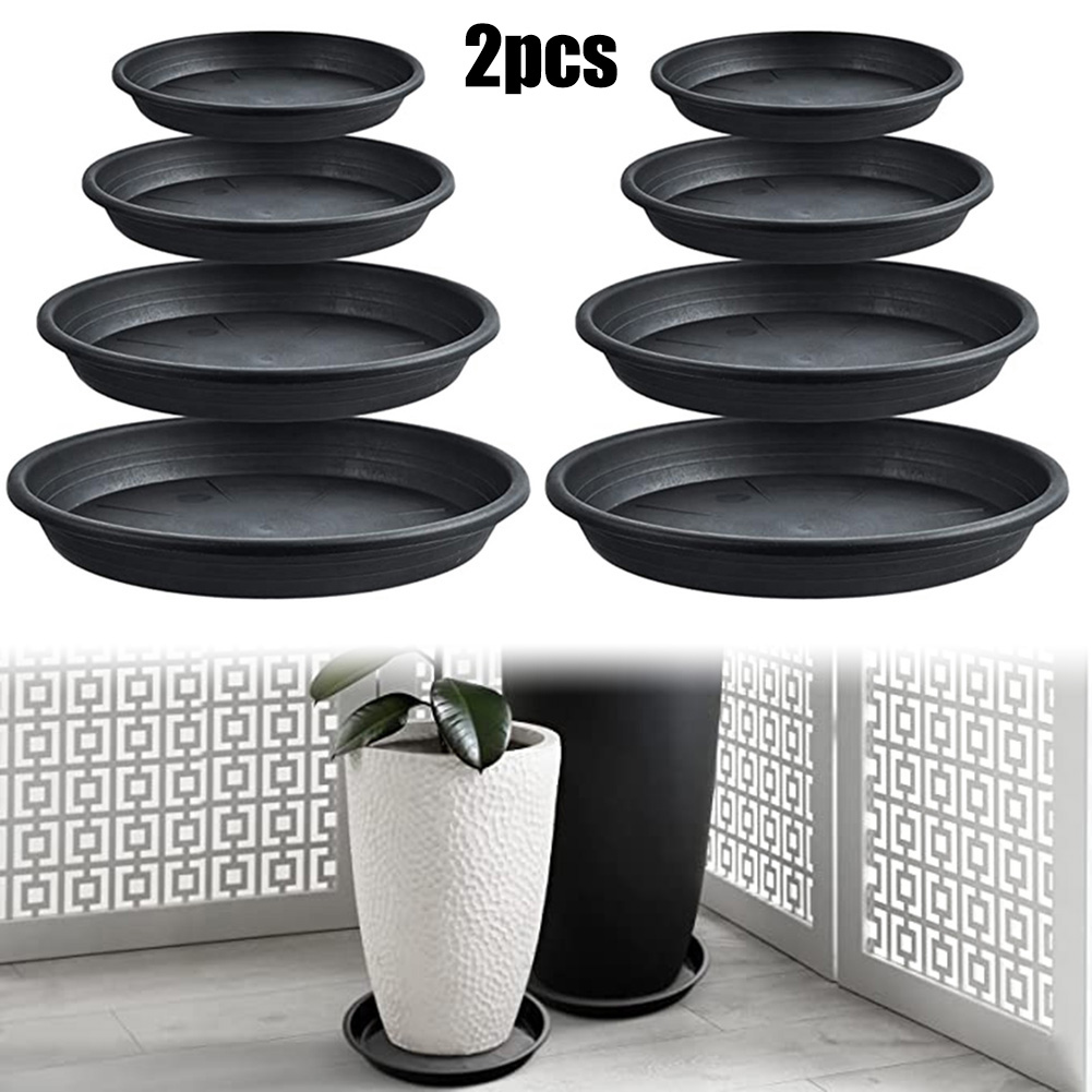 2pcs Plant Trays Round Succule - Echeveria Succulent avis et prix