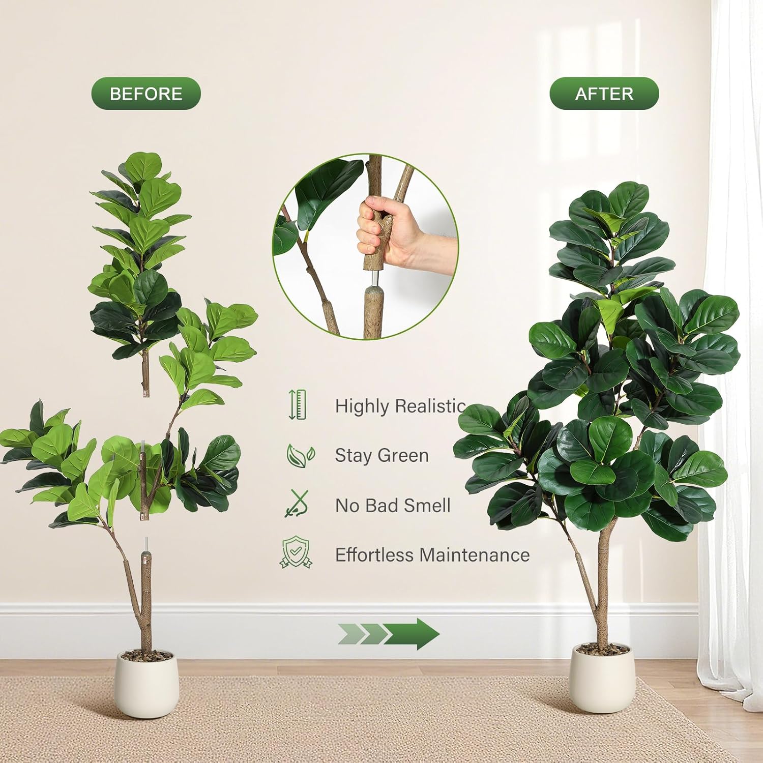 4-7 FT Fiddle Leaf Fig Tree Ar - Ficus Lyrata Tree avis et prix
