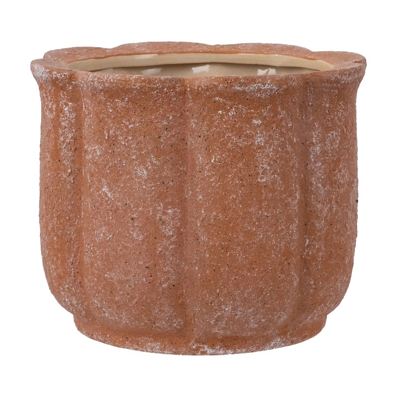 8in Terracotta Flower Planter  - Aloe Vera Pot avis et prix
