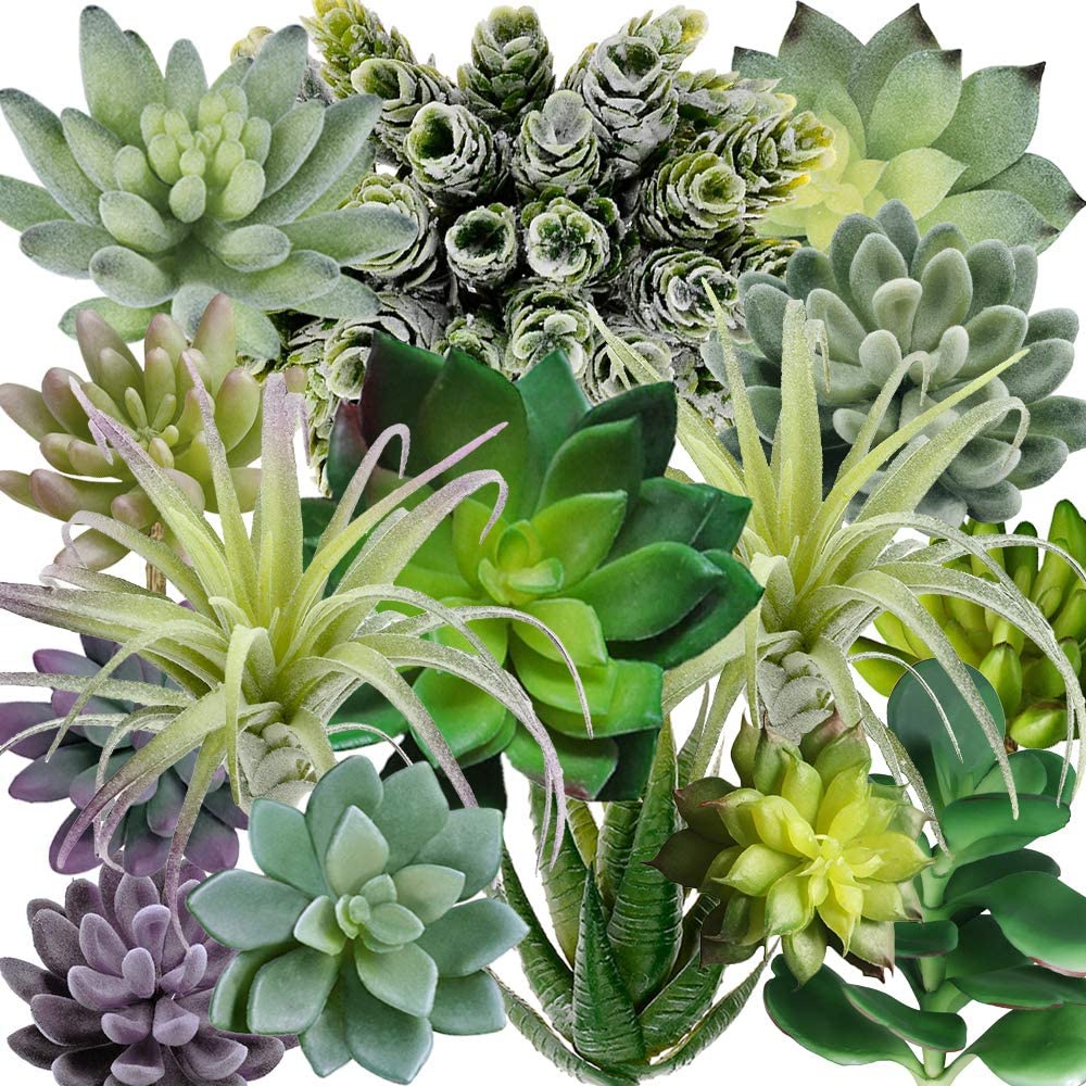 15 Pack Assorted Artificial Su - Echeveria Succulent avis et prix
