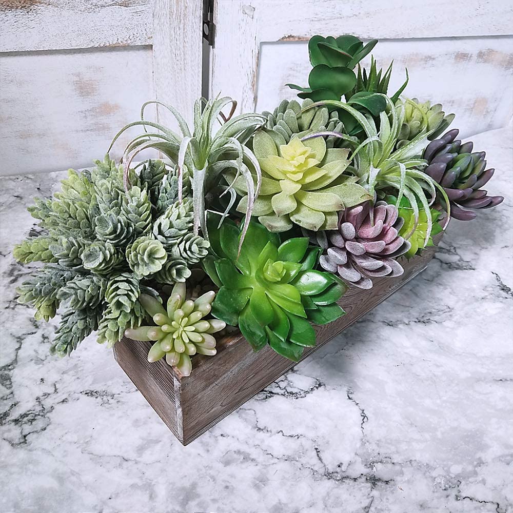 15 Pack Assorted Artificial Su - Echeveria Succulent avis et prix