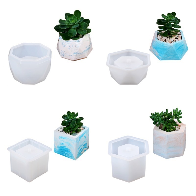 Succulent Flowerpot Silicone M - Echeveria Succulent avis et prix