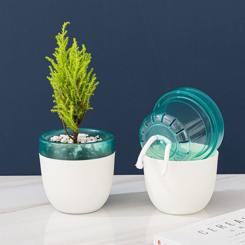 Automatic Water Absorption Laz - Aloe Vera Pot avis et prix