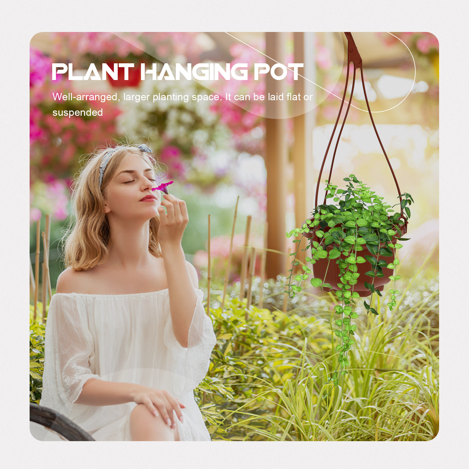 6Sets Hanging Flowerpot Creati - Spider Plant Hanging avis et prix