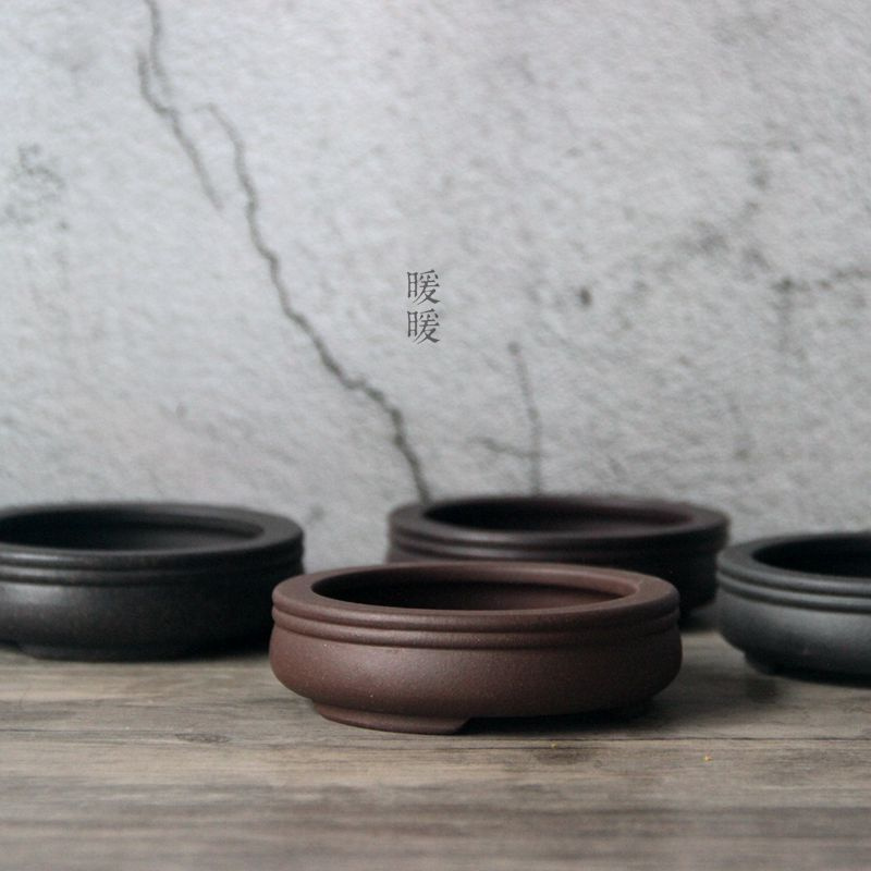 Ceramic Circle Bonsai Pot,Plat - Pilea Peperomioides avis et prix
