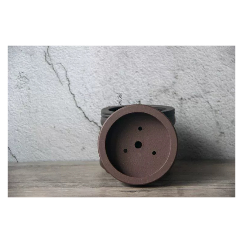 Ceramic Circle Bonsai Pot,Plat - Pilea Peperomioides avis et prix