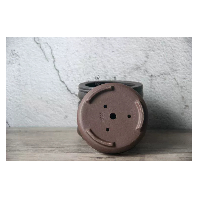 Ceramic Circle Bonsai Pot,Plat - Pilea Peperomioides avis et prix