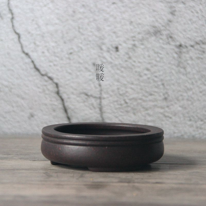 Ceramic Circle Bonsai Pot,Plat - Pilea Peperomioides avis et prix