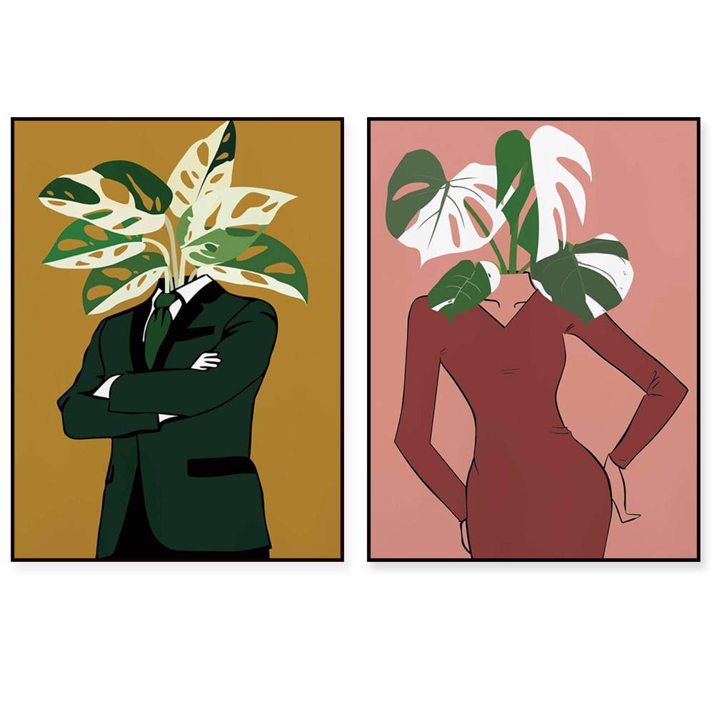 Monstera Albo in a burgundy dr - Monstera Adansonii avis et prix