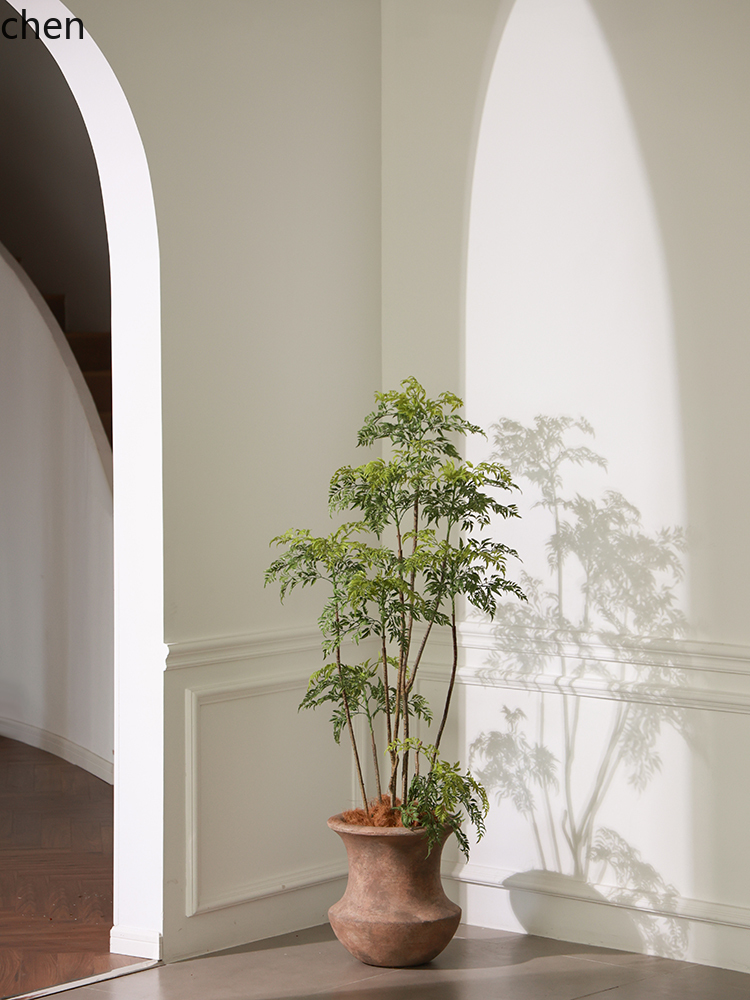 LYY  Floor Vase Green Plant Ar - Ficus Lyrata Tree avis et prix
