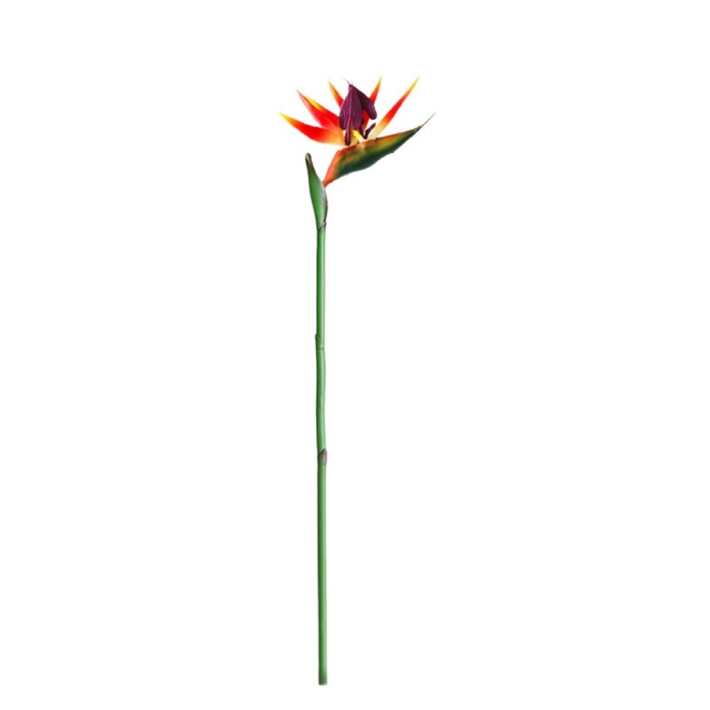 Long Stem Artificial Bird of P - Bird Paradise Strelitzia avis et prix
