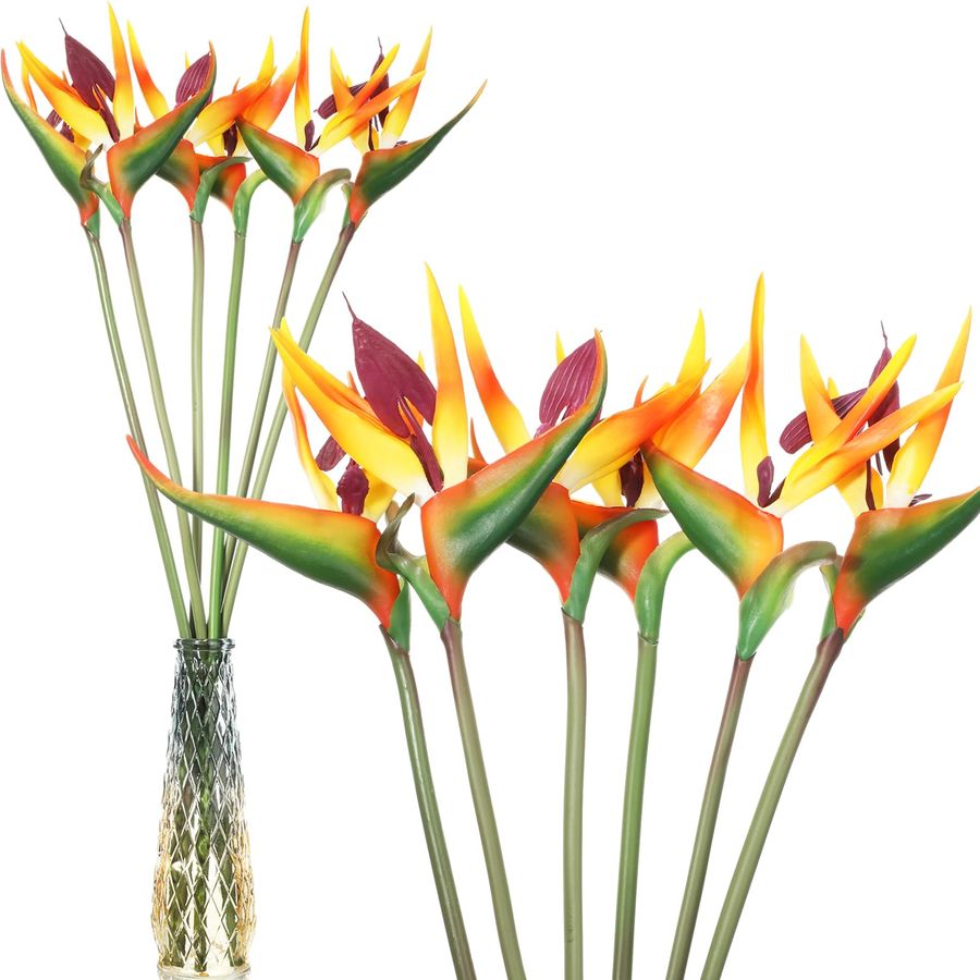 12 Pcs Bird of Paradise Artifi - Bird Paradise Strelitzia avis et prix