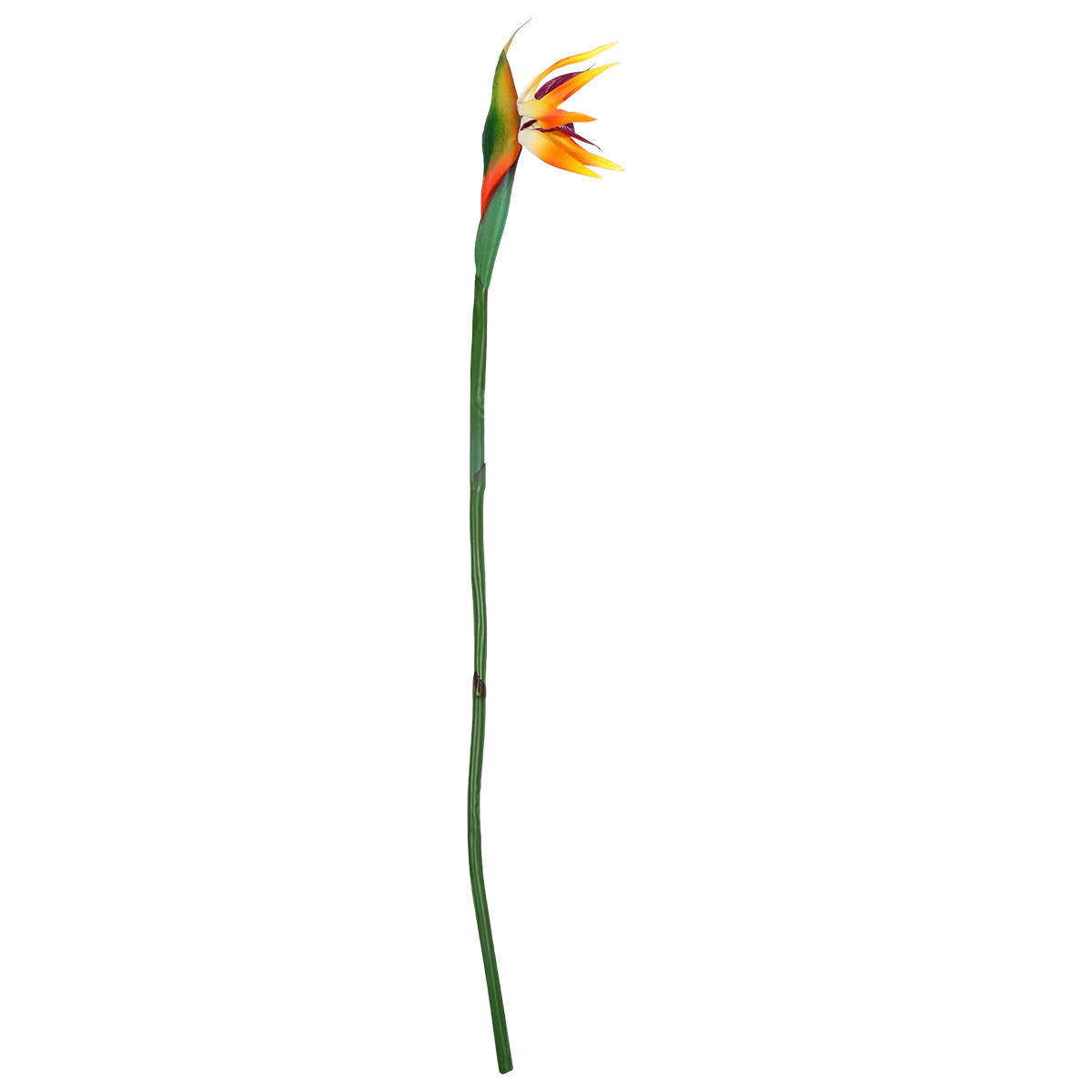 Artificial Bird of Paradise Pl - Bird Paradise Strelitzia avis et prix