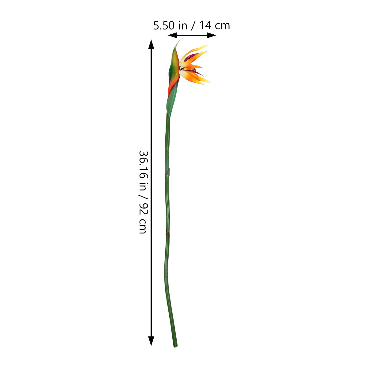 Artificial Bird of Paradise Pl - Bird Paradise Strelitzia avis et prix