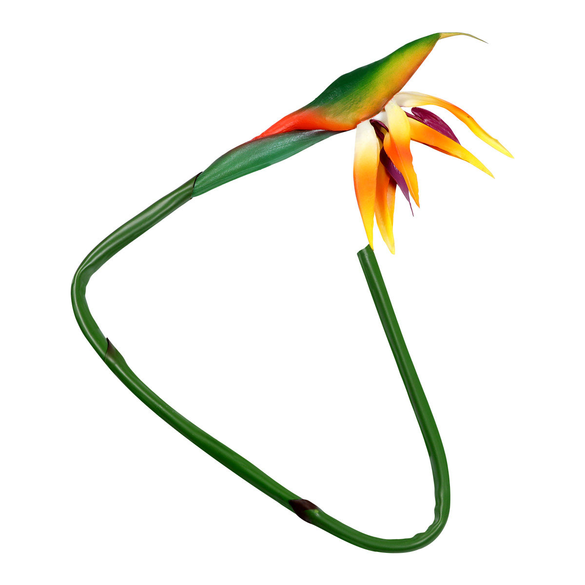 Artificial Strelitzia Bird of  - Bird Paradise Strelitzia avis et prix