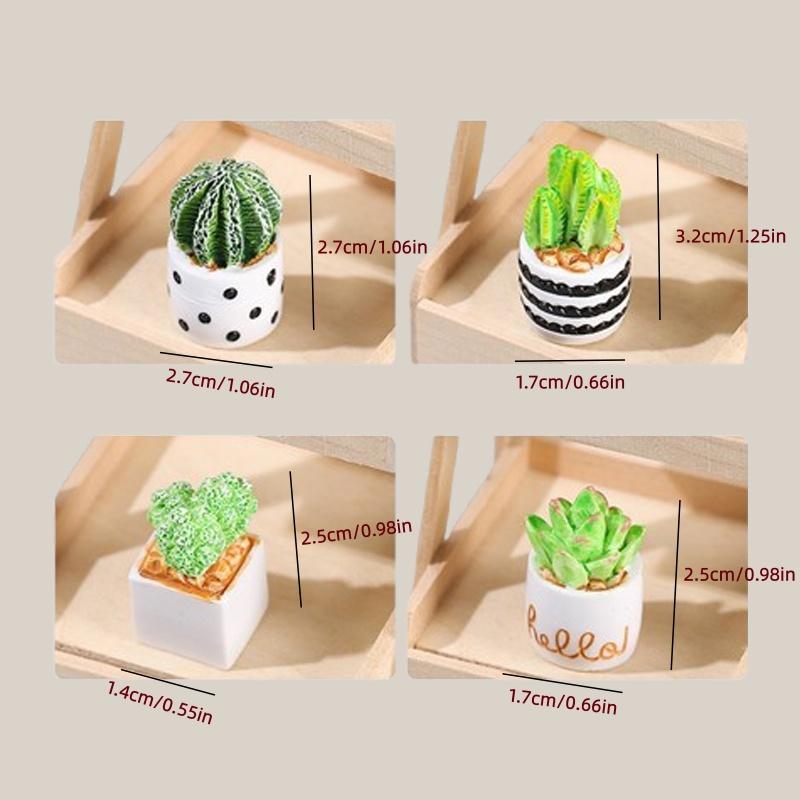 4-Piece Set of Cactus Succulen - Echeveria Succulent avis et prix