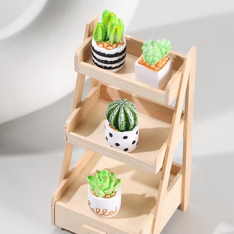 4-Piece Set of Cactus Succulen - Echeveria Succulent avis et prix
